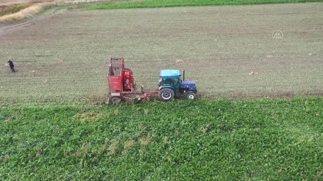 Bu yıl 40 bin 500 ton şeker üretimi hedefleniyor (2)