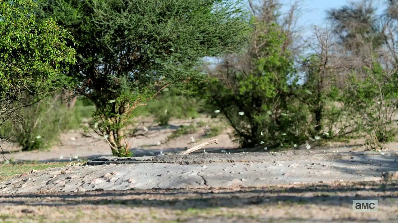 Meerkat Manor - Rise of the Dynasty - Se1 - Ep01 HD Watch HD Deutsch