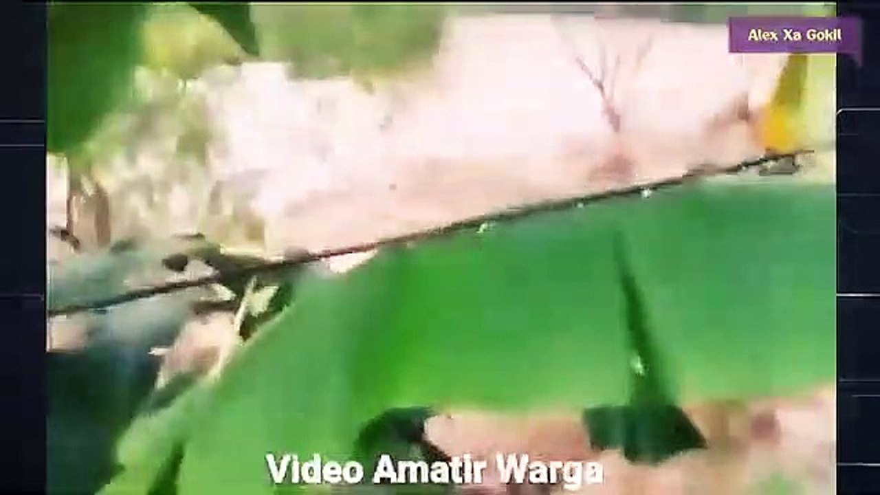 BERITA VIRAL!!! BARU SAJA Banjir Bandang Bak Tsunami Purbalingga Jawa tengah Hari ini Rumah  Objek Wisata Hanyut