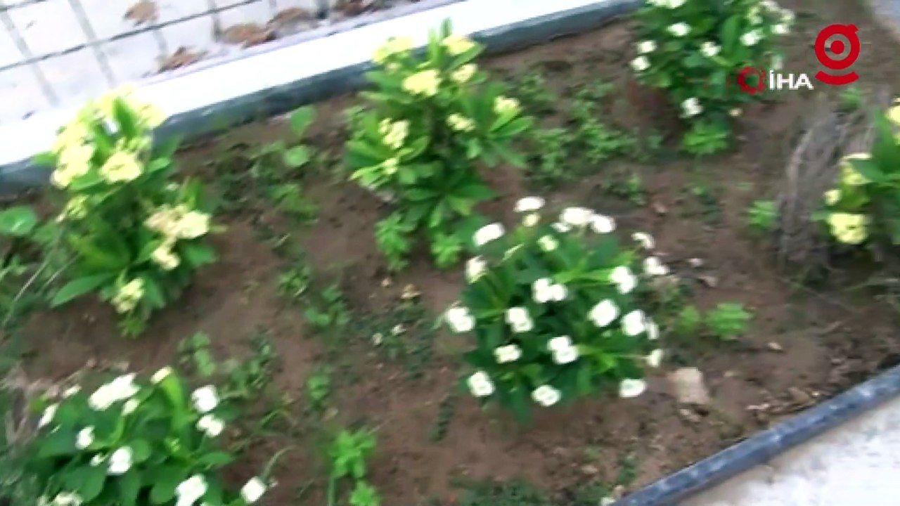 Ölmeden önce cami avlusuna yaptırdığı mezarına gözü gibi bakıyor