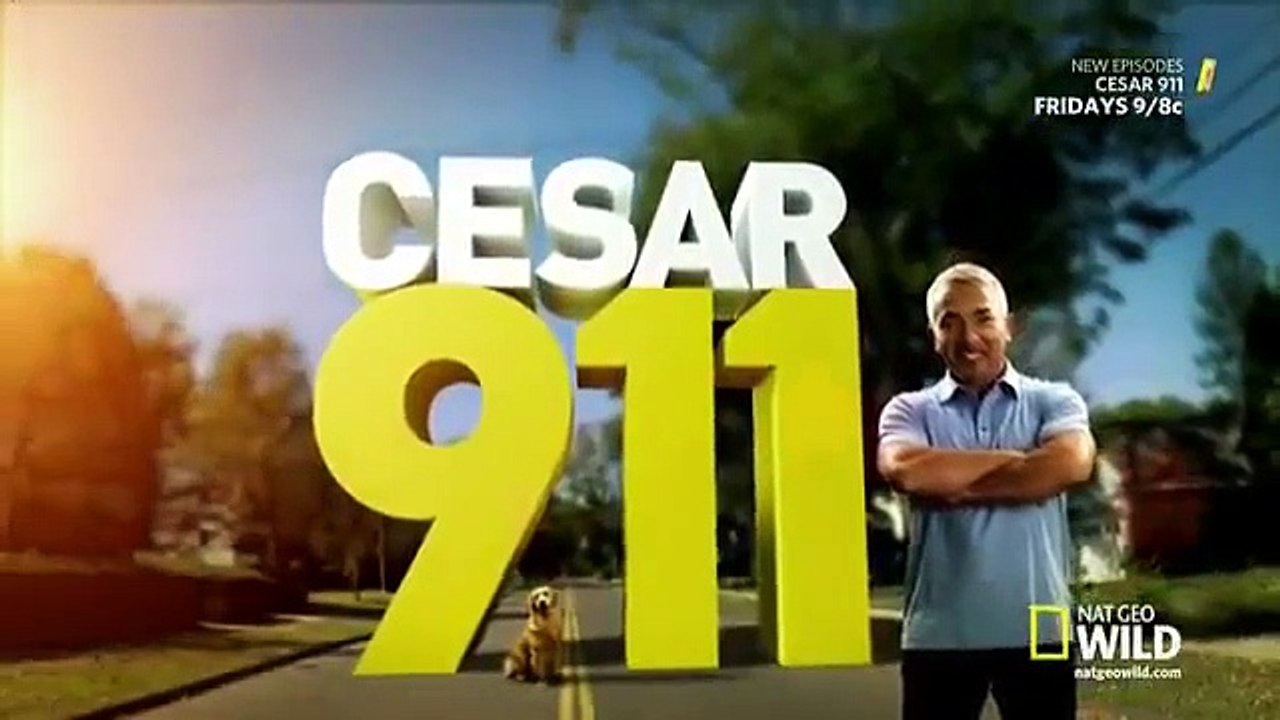 Cesar 911 - Se2 - Ep01 - Loaded Gunny HD Watch HD Deutsch