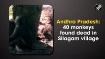 40 monkeys found dead in Andhra Pradesh village