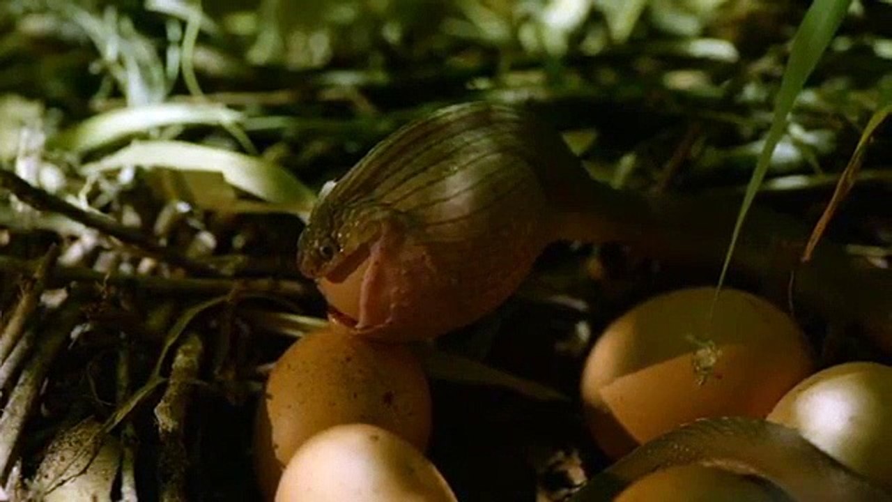 Dead by Dawn - Se1 - Ep03 - A Quiet Place HD Watch HD Deutsch