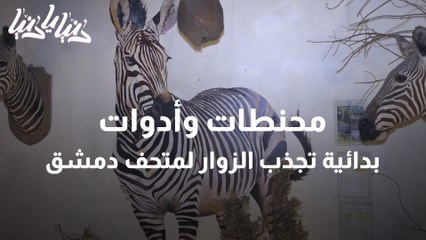 شاهد محنطات وأدوات بدائية تجذب الزوار لمتحف دمشق