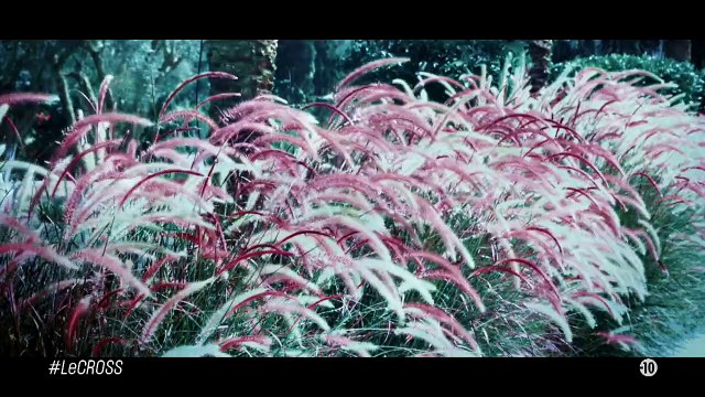 Bande-annonce du Cross , la nouvelle télé-réalité de W9