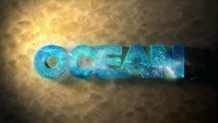 Rivoluzione blu a tavola: cresce la domanda di alghe coltivate in mare