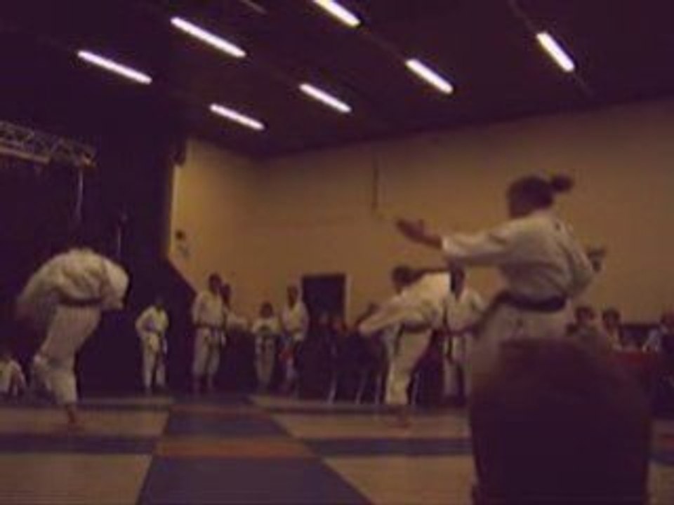 Kata synchro