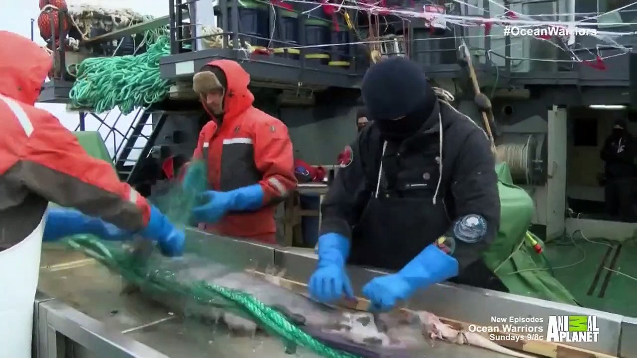 Ocean Warriors - Se1 - Ep02 - Who's the Bad Guy HD Watch HD Deutsch