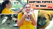 Please மக்களே தயவுசெஞ்சு இத பண்ணுங்க!  | Puppy Adoption  | Uma Riyaz