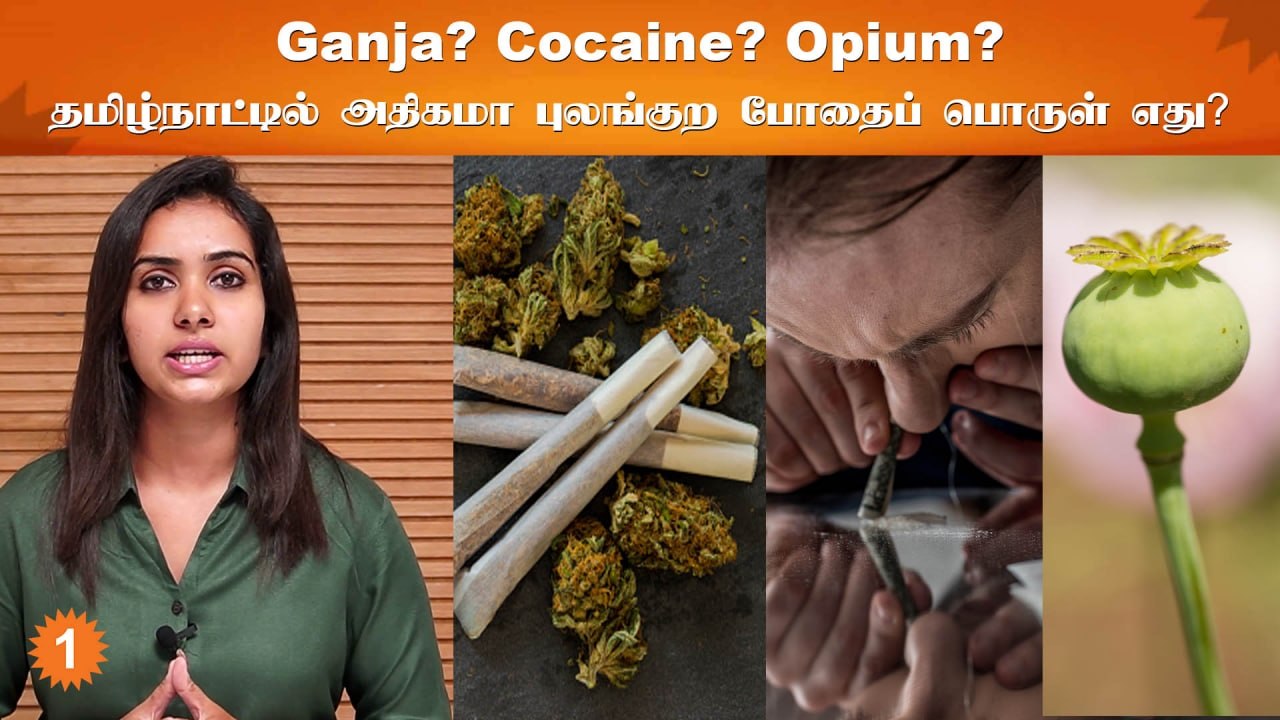 Illeagal Drugs in Tamilnadu? Annamalai சொல்வது உண்மையா? | Fact Check | *TamilNadu