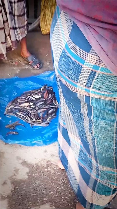 Fish market shorts #fish #shorts #short #shortvideo #shortsfeed #shortsyoutube #shortsvideos #video