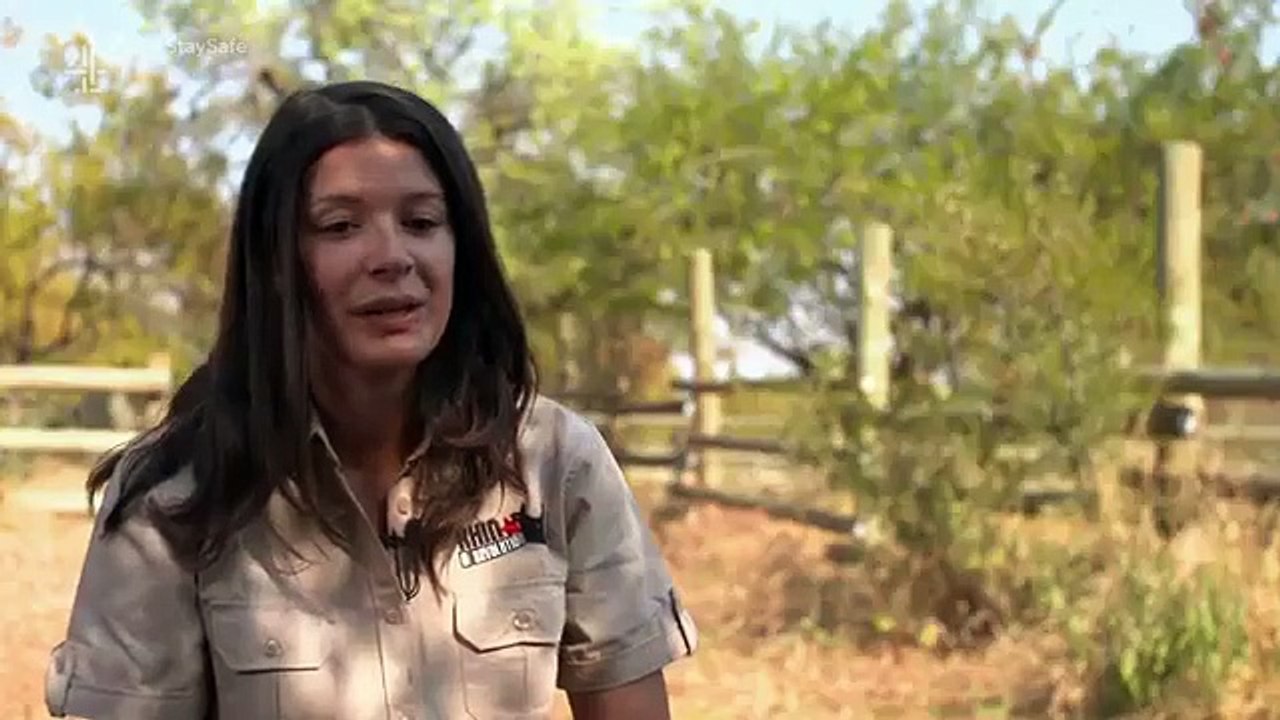 Work on the Wild Side - Se1 - Ep03 HD Watch HD Deutsch