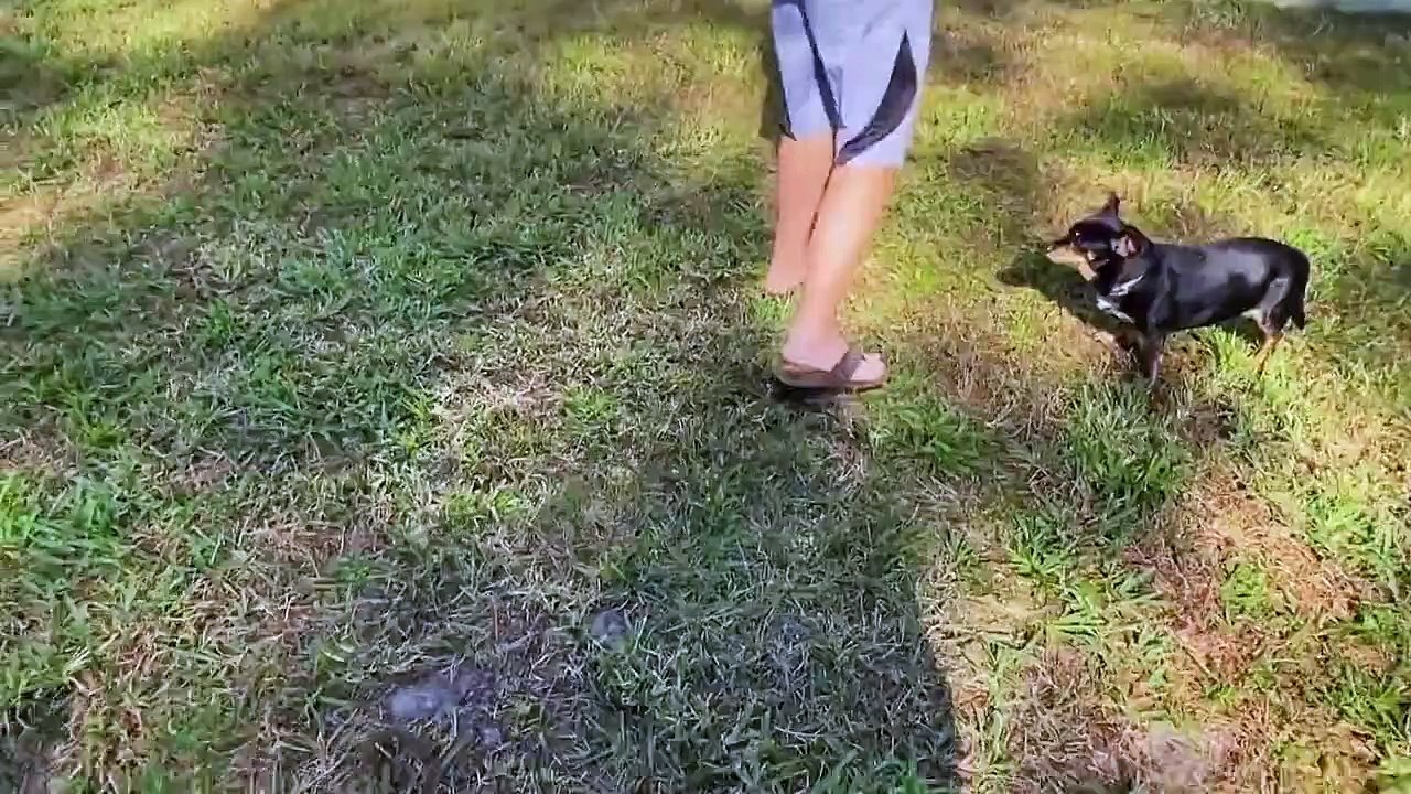 You, Me $$ My Ex - Se1 - Ep03 - Ex-plain Yourself HD Watch HD Deutsch