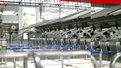 X-Ray Scanner Picks up Rare Alligator in ‘Acute Danger’ Found in Man’s Luggage