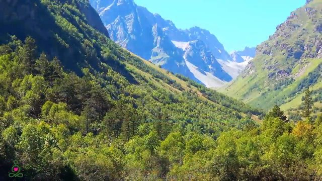RESTAURATION DU SYSTÈME NERVEUX Musique douce, apaise le système nerveux et fait plaisir à l'âme