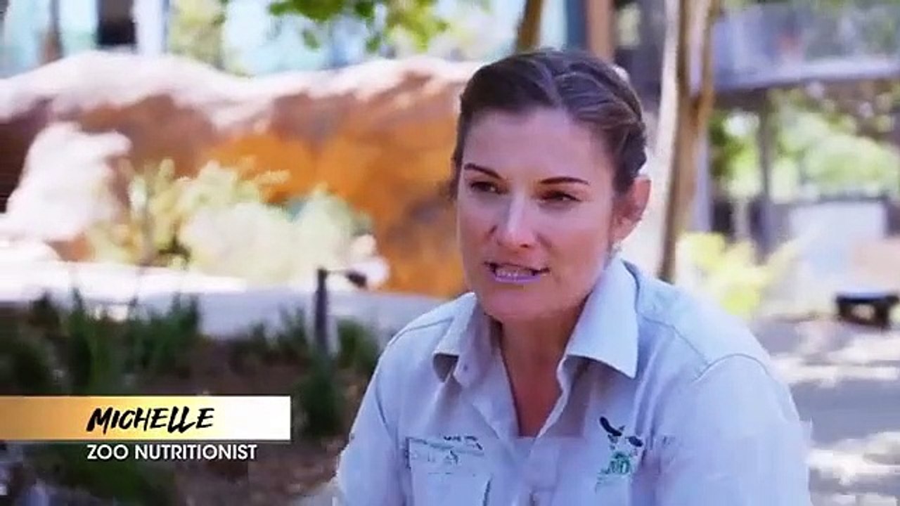 Inside Taronga zoo - Se1 - Ep03 HD Watch HD Deutsch