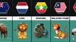 National Animals of Countries - National Animals From Different Countries
