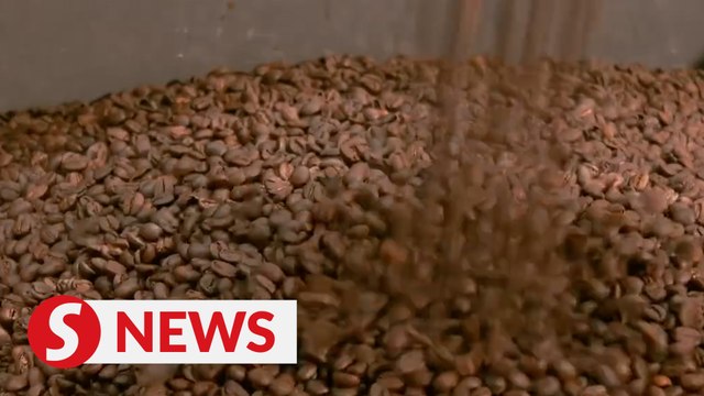 China's booming coffee industry pursues high-quality development