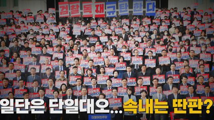 [나이트포커스] 일단은 단일대오...속내는 딴 판?? / YTN