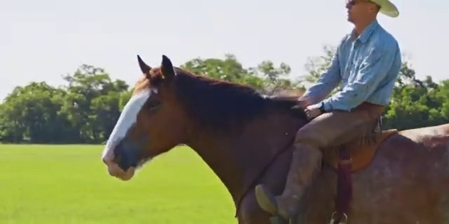 Un-Tyed: Building Rosie - with Ty Murray
