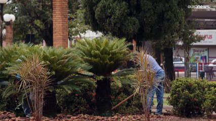 Brazil's indigenous people fear election result will do little to help them