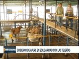 Gobierno de Apure dona más de 8 toneladas de carne bovina a las familias de Las Tejerías