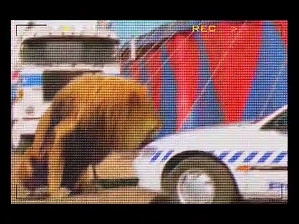 Thunderstone - Se1 - Ep07 HD Watch HD Deutsch