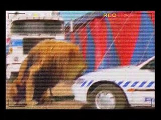 Thunderstone - Se1 - Ep07 HD Watch HD Deutsch