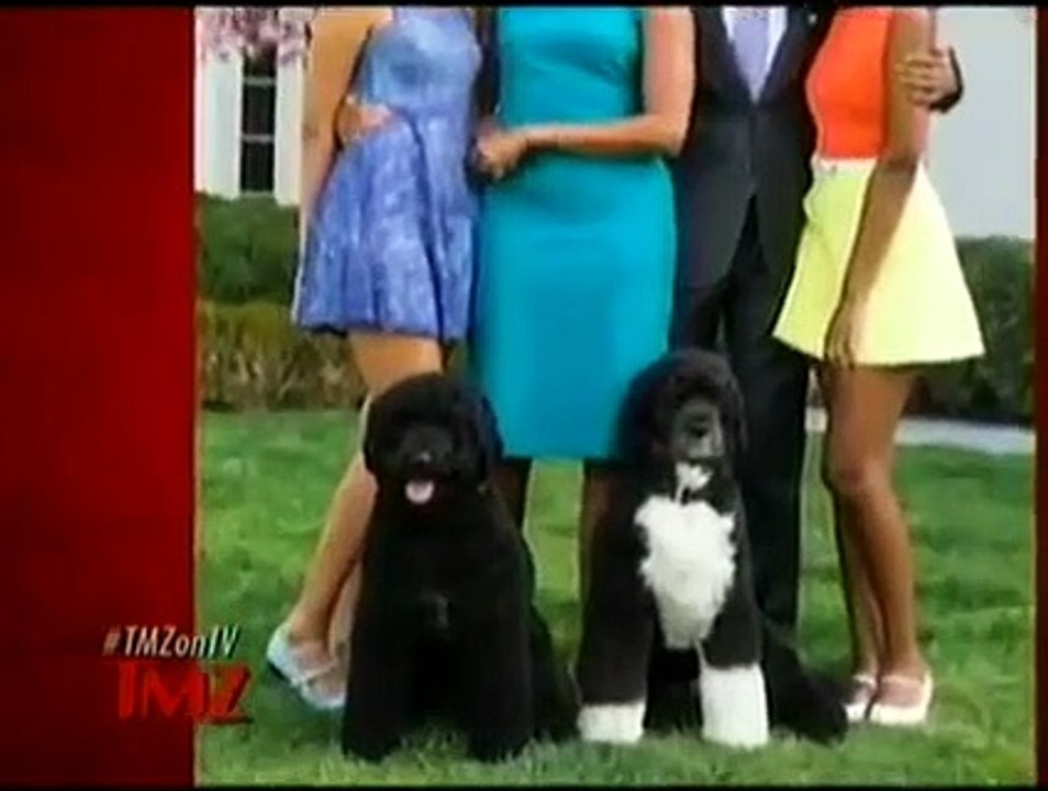 TMZ on TV - Se10 - Ep08 HD Watch HD Deutsch