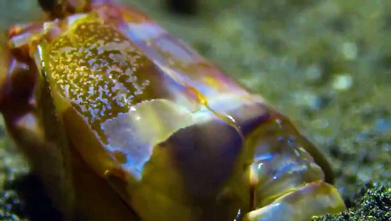 Night on Earth - Se1 - Ep04 HD Watch HD Deutsch