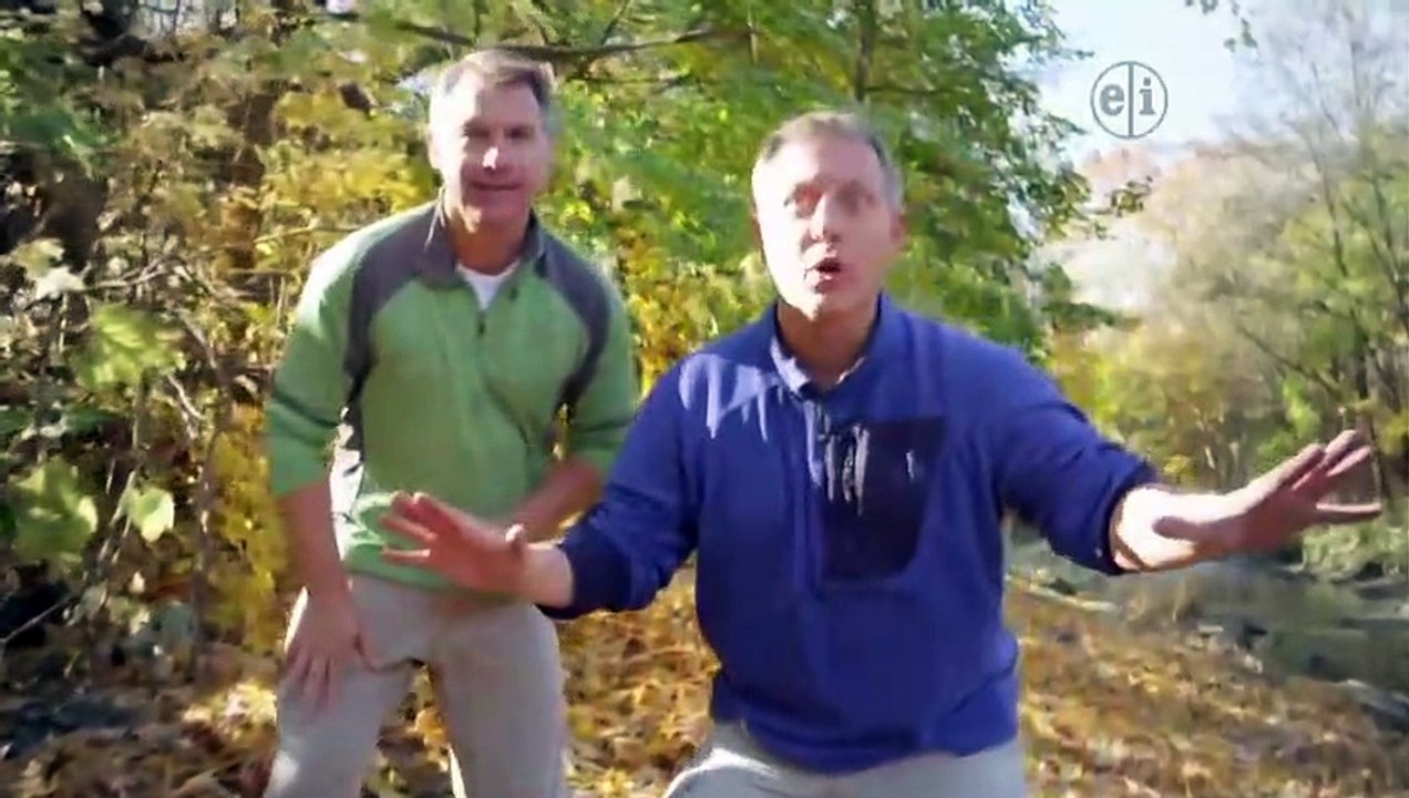 Odd Squad - Se2 - Ep10 - Night Shift; Put Me In Coach HD Watch HD Deutsch