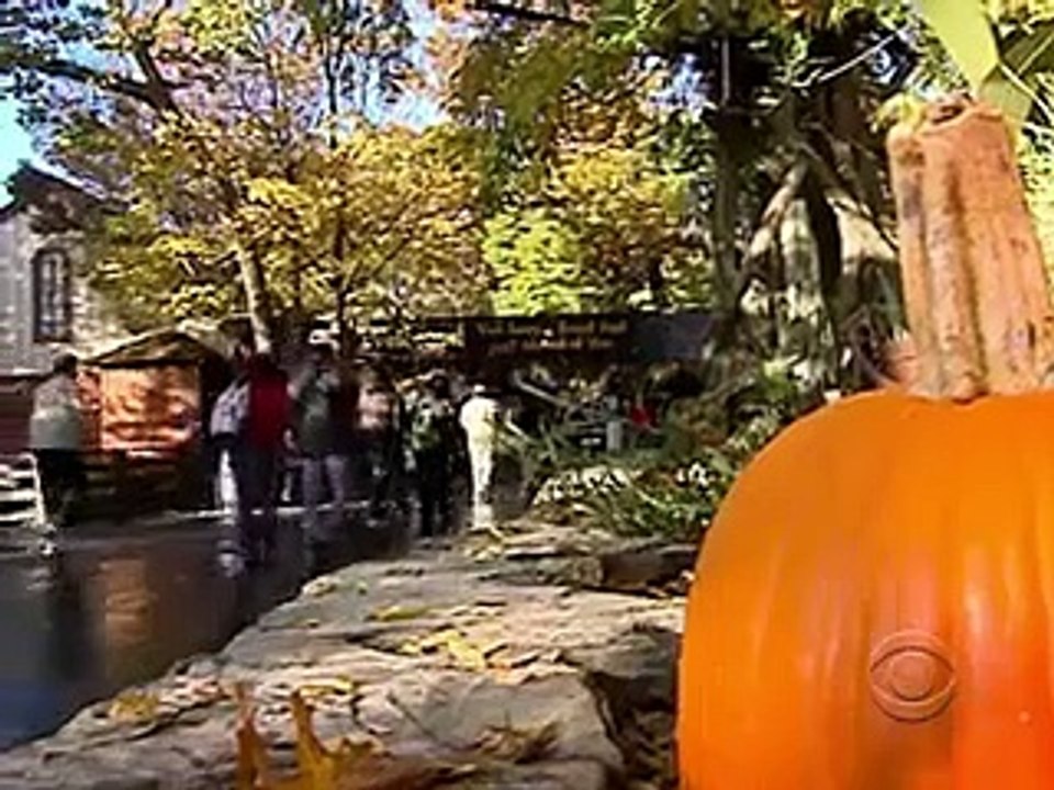 Undercover Boss (US) Se1 - Ep07 HD Watch HD Deutsch