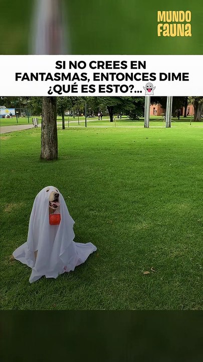 ¿Seguro que no crees en fantasmas?