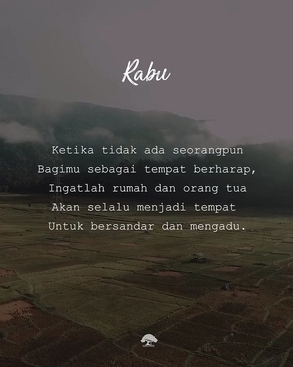 Status Literasi (325)