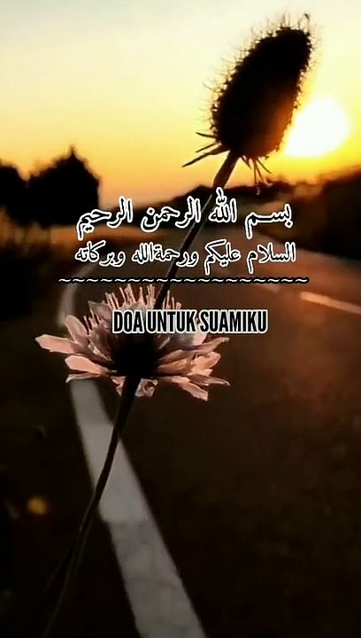 Status Video Potrait (148)