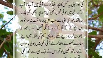 30.An Emotional Heart Touching Story _ Moral Story _ Sachi Kahani _ Sabak Amoz Urdu Kahani No 428