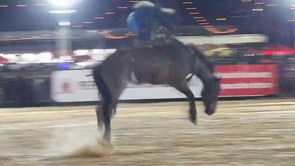RODEO IN BRAZIL - EXPO ARTUR 2022 (P1)
