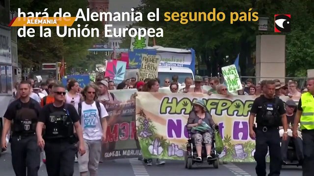 El gobierno legalizará la marihuana para fines recreativos