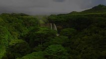 Tropical Rainforest - Amazon, Costa Rica, Tasmania 4K _ Jungle Sounds _ Scenic Relaxation Film