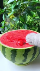 Cat Makes Double-flavor Watermelon Pot(ASMR) _