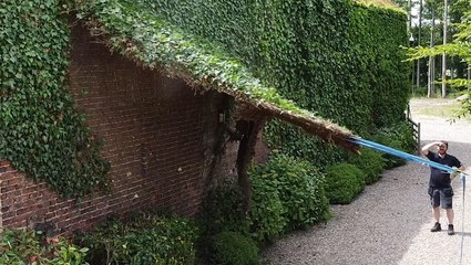 Removing Overgrown Ivy From Homes