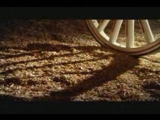 De quoi rêve les jeunes clydesdales ?