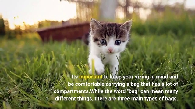 Choosing an Emergency Backpack