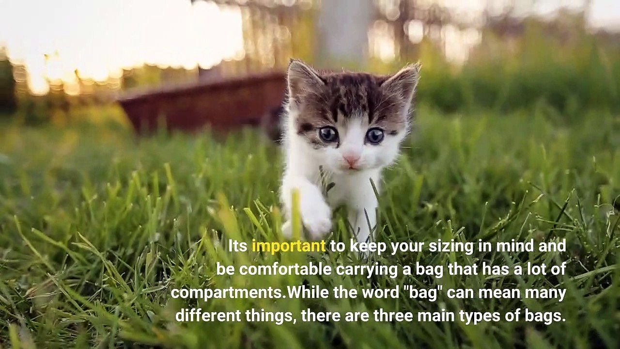 Choosing an Emergency Backpack