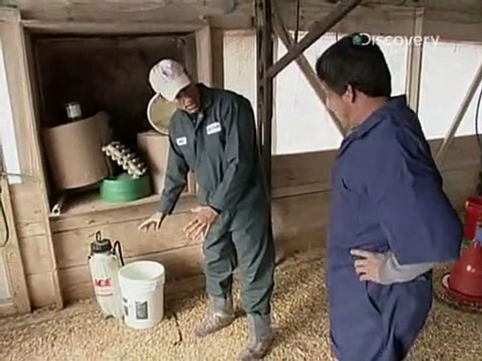 Dirty Jobs - Arbeit, die keiner machen will Staffel 1 Folge 23 HD Deutsch