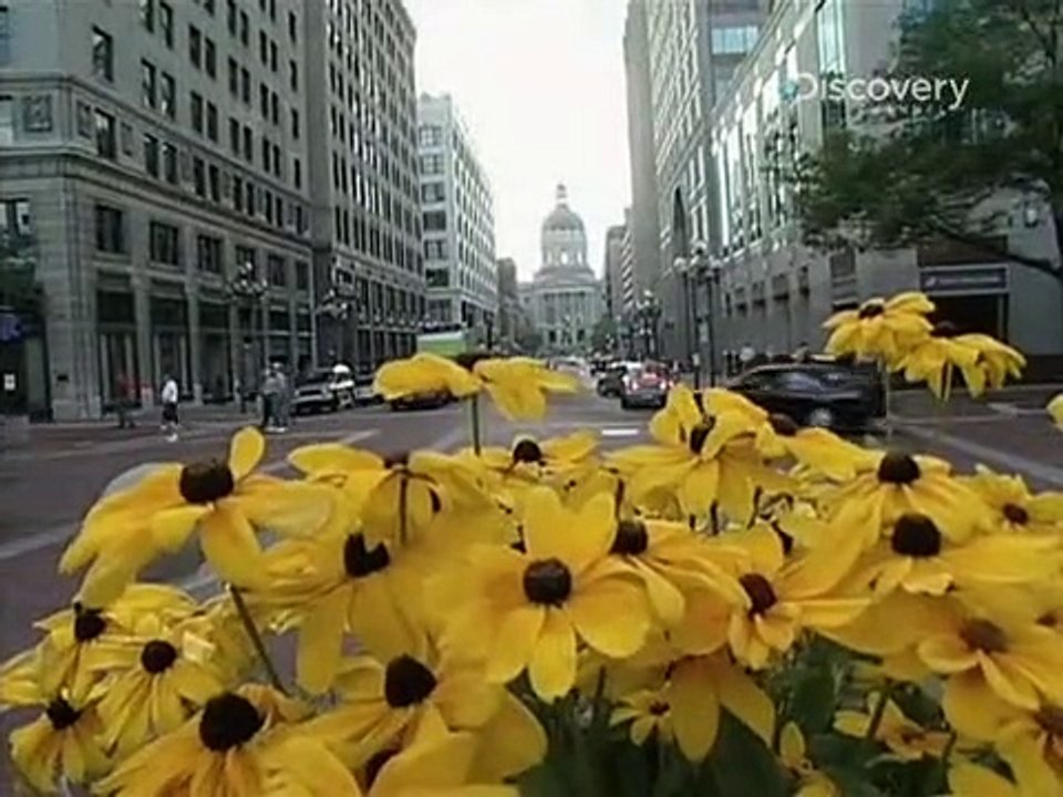 Dirty Jobs - Arbeit, die keiner machen will Staffel 1 Folge 16 HD Deutsch