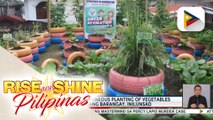 Green Revolution 2.0: Plants for Bountiful Barangays Movement, inilunsad ng DA-BPI