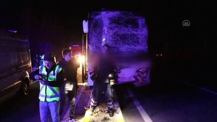 Son dakika haber... Yola çıkan at kazaya neden oldu: 15 yaralı