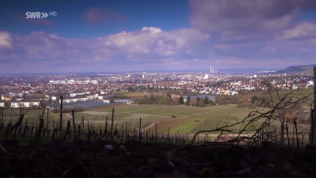 Im Land der Lügen - Wie uns Politik und Wirtschaft mit Zahlen manipulieren | Doku HD