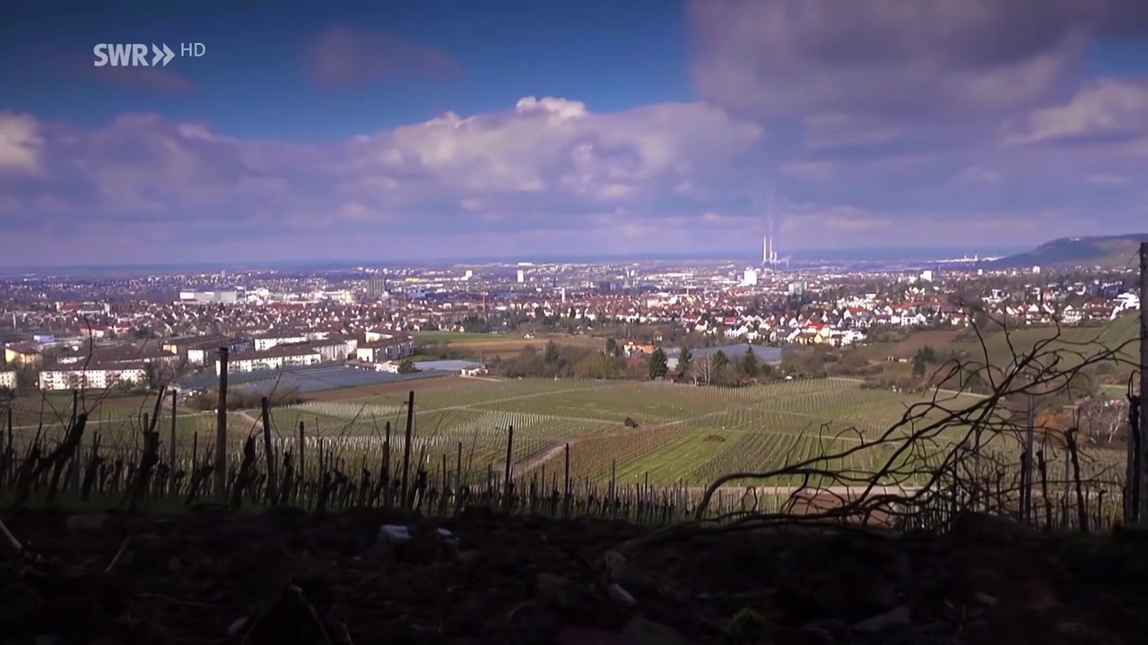 Im Land der Lügen - Wie uns Politik und Wirtschaft mit Zahlen manipulieren | Doku HD